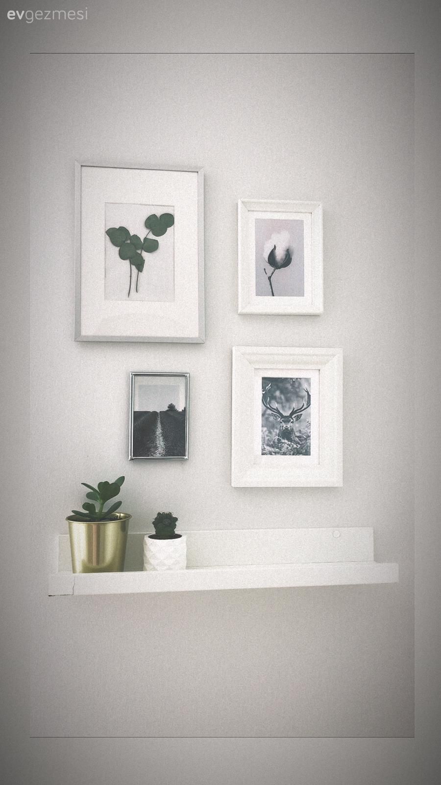 Duvar rafı, Duvar dekorasyonu, Çerçeve, Ev bitkisi