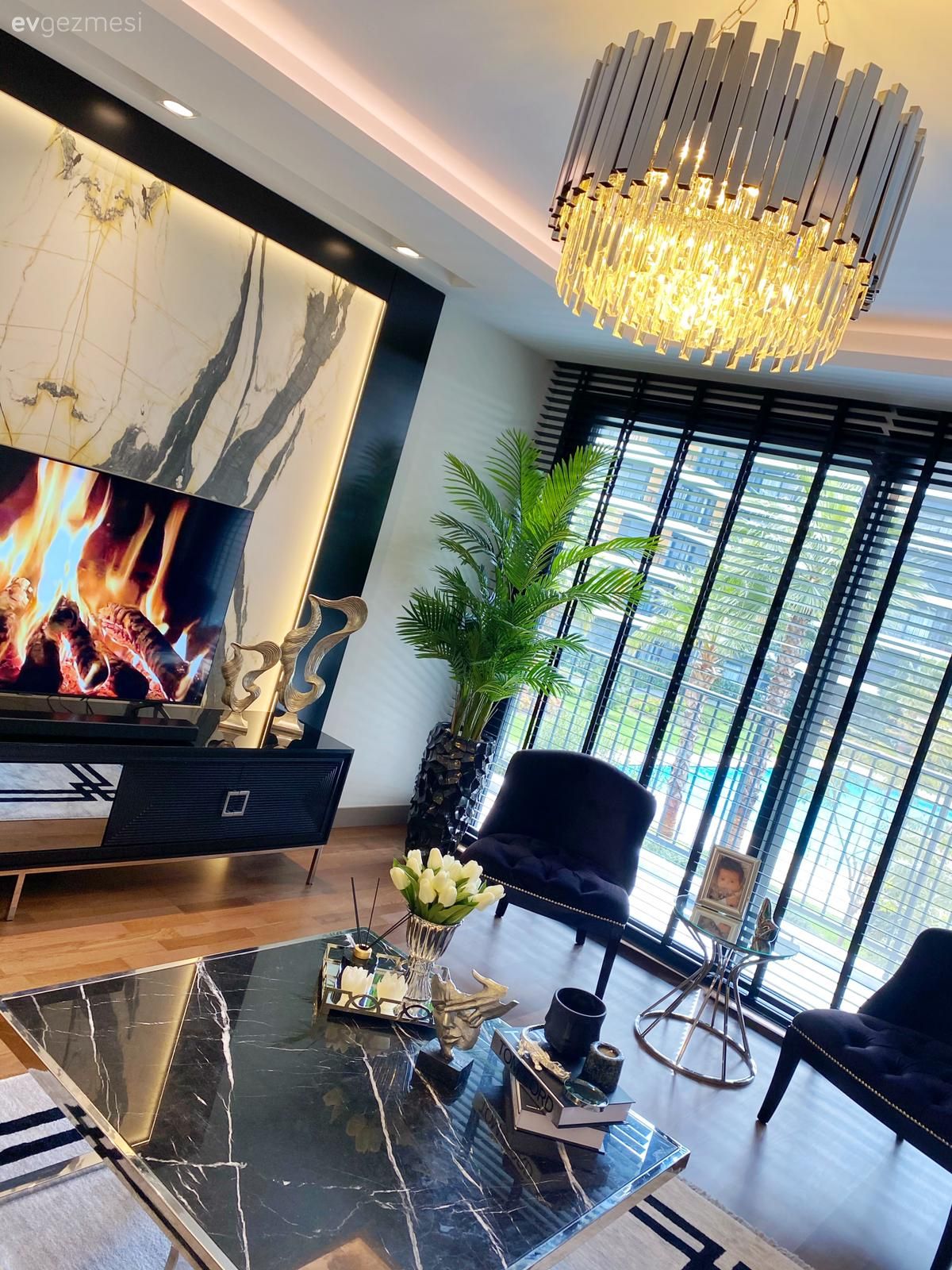 Salon, Beyaz, Siyah, Tv ünitesi, Tv ünitesi aksesuarları, Ev Aksesuar, Berjer, Saksı, Pencere, Jaluzi, Orta sehpa, Sehpa, Sehpa üstü aksesuarı, Halı, Salon halısı, Avize, Aydınlatma, Salon avizesi, Led aydınlatma, Spot aydınlatma