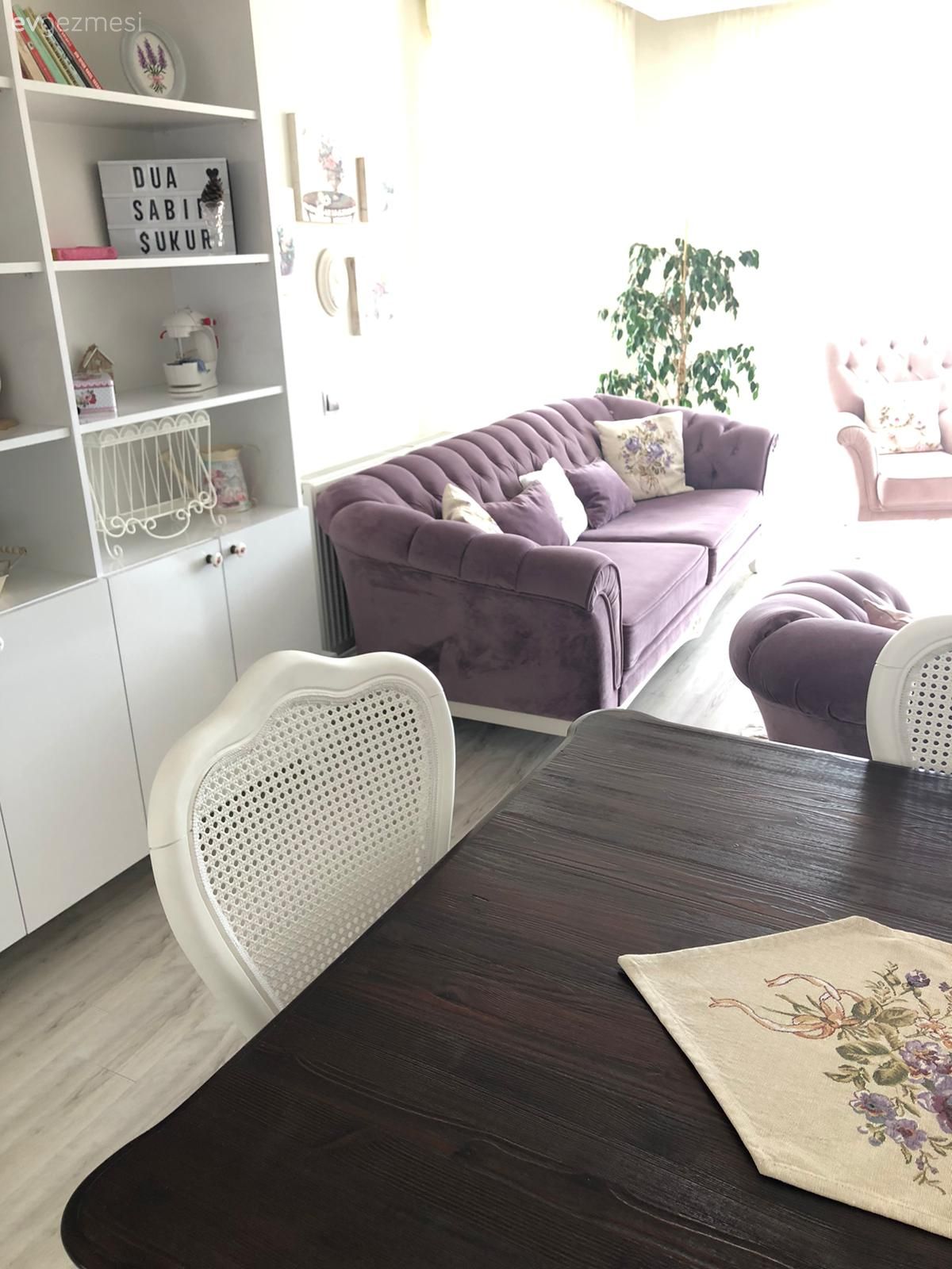 Kitaplık, Koltuk takımı, Mor, Beyaz, Pembe