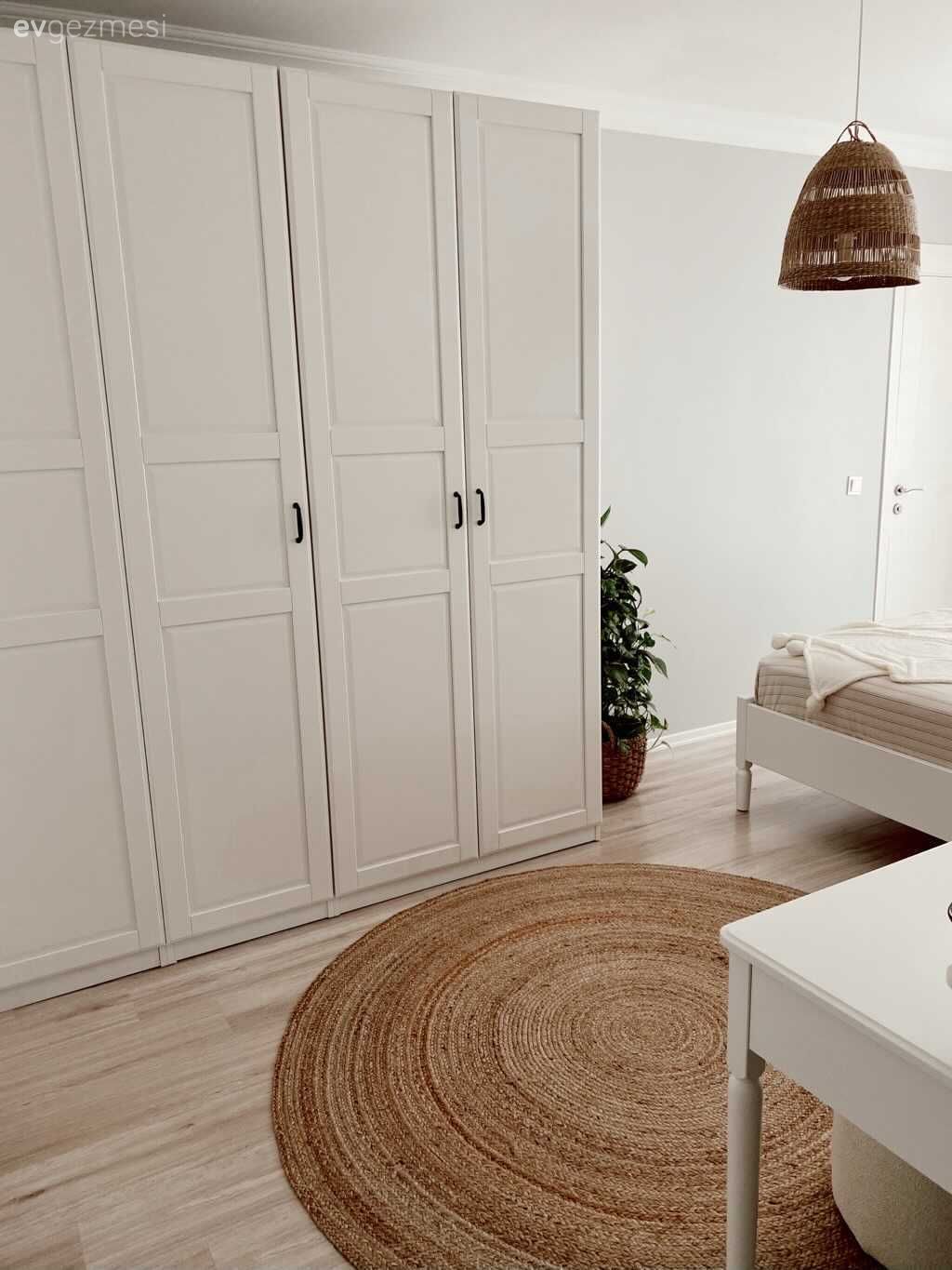 Beyaz, Krem, Jüt halı, Halı, Hasır avize, Ev bitkisi