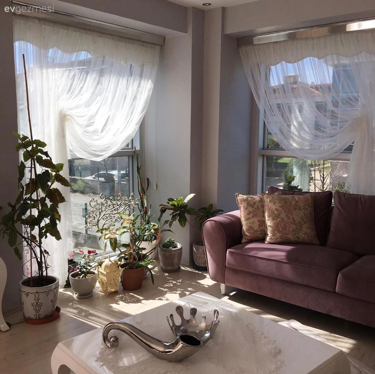 Salon, Pembe, Beyaz, Sarı, Koltuk takımı, Ev bitkisi, Saksı, Orta sehpa, Sehpa, Masa örtüsü, Ev tekstili