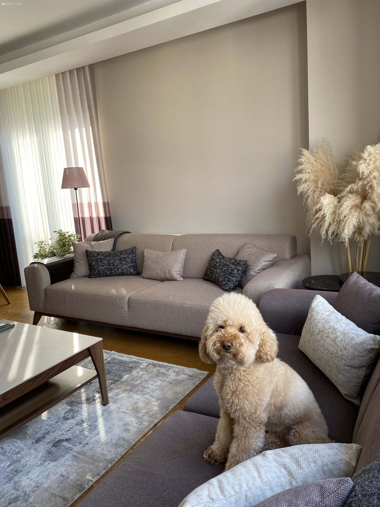 Salon, Modern, Koltuk takımı, Gri, Beyaz, Vizon, Tv ünitesi, Tv ünitesi aksesuarları, Ev Aksesuar, Orta sehpa, Sehpa, Halı, Salon halısı, Avize, Aydınlatma, Salon avizesi, Boy aynası, Ayna, Vazo, Lambader, Kırlent, Ev tekstili