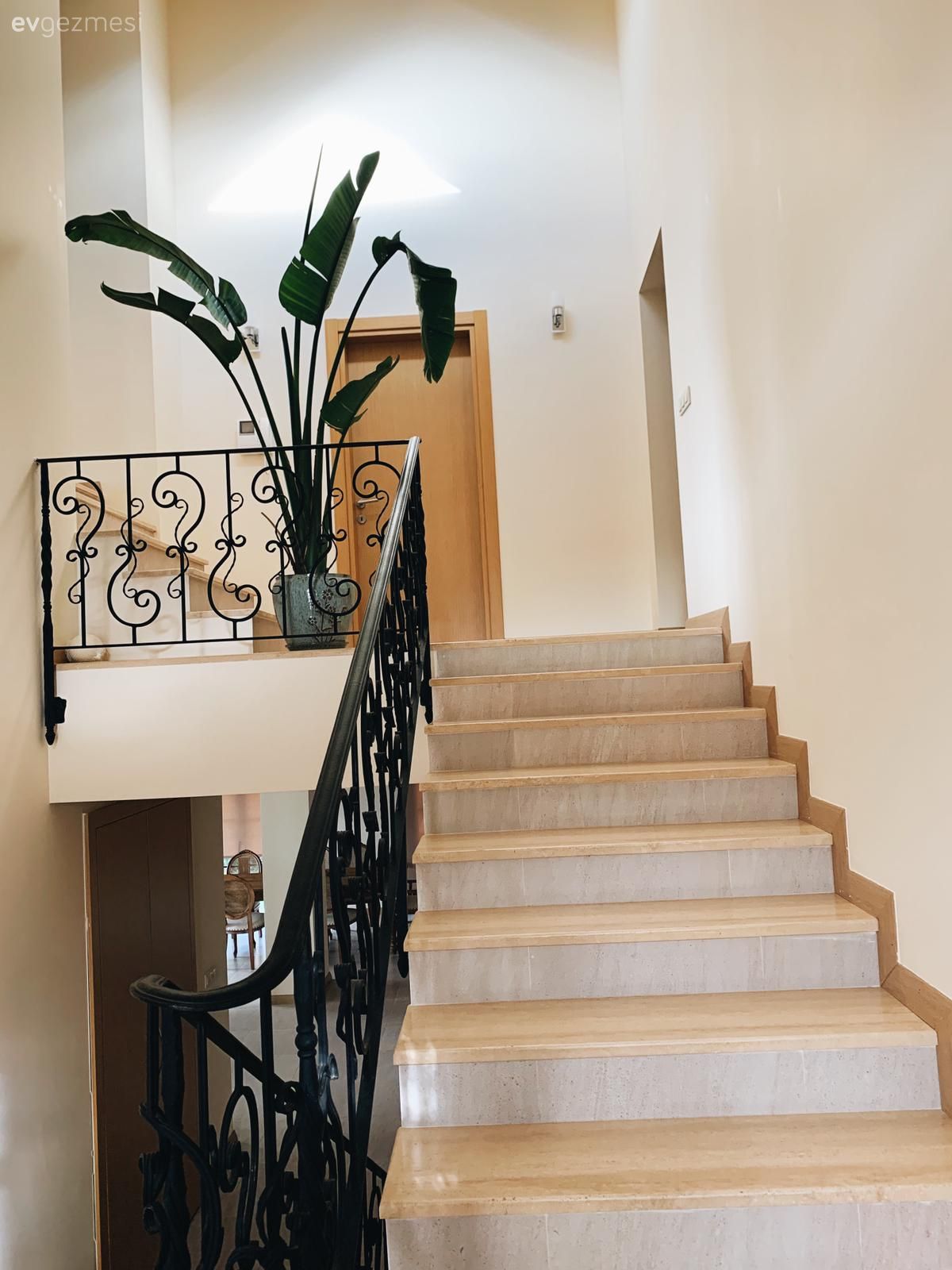 Dubleks evler, Ev bitkisi, Merdiven, Siyah