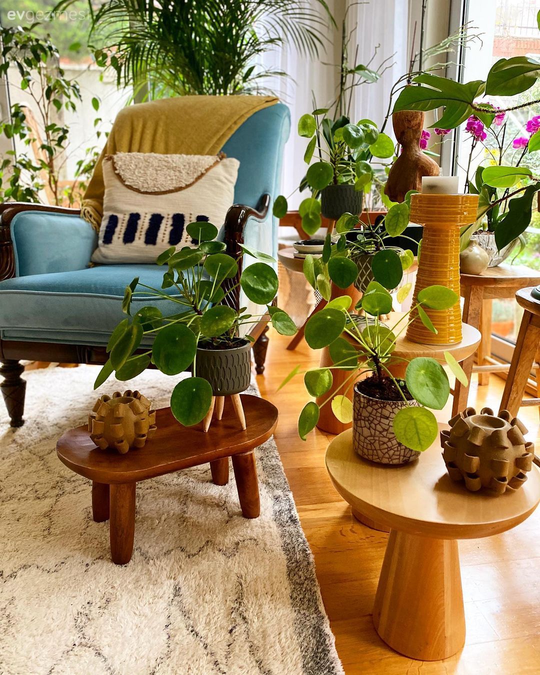 Bu Enerjik Evin Referansı Doğanın Ta Kendisi