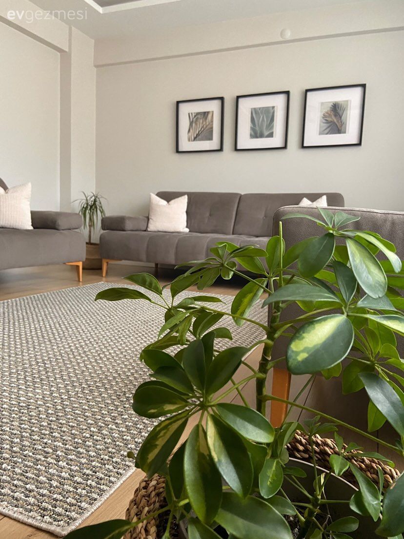 Bu Kocaeli Evi İçin Konfor Her Şeyden Önemli!