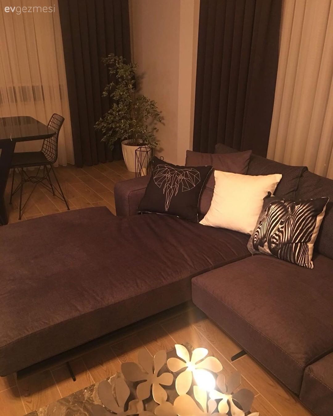 Salon, Köşe koltuk, Koltuk takımı, Uzanma koltuklu köşe, Kırlent, Ev tekstili, Antrasit  , Gri, Fon perde, Perde, Tül perde, Orta sehpa, Sehpa, Ev bitkisi