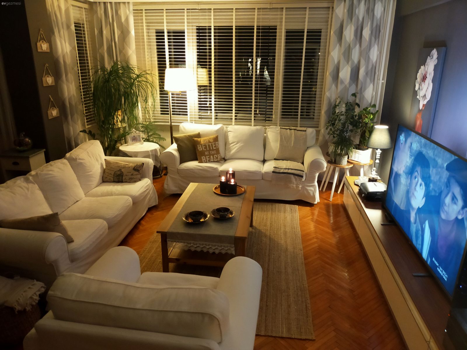 Salon, Beyaz, Mavi, Country, Deniz temalı dekorasyon(coastal), Koltuk takımı, Orta sehpa, Sehpa, Jüt halı, Halı, Jaluzi, Gri duvar, Ev bitkisi, Tv ünitesi, Tv ünitesi aksesuarları, Ev Aksesuar, Abajur, Aydınlatma