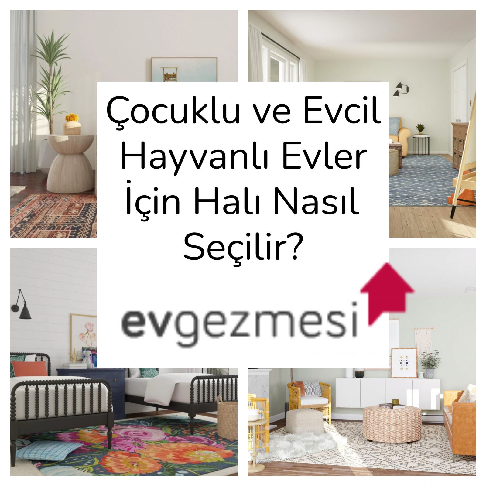 Çocuklu ve Evcil Hayvanlı Evler İçin Halı Nasıl Seçilir?