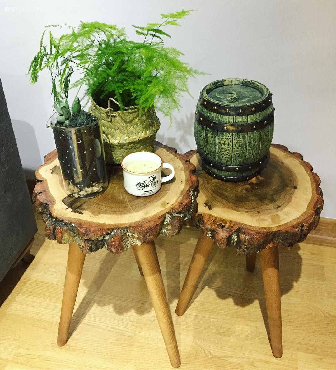 Yan sehpa, Ahşap Mobilya, Ev Aksesuar, Ev bitkisi, Kaktüs