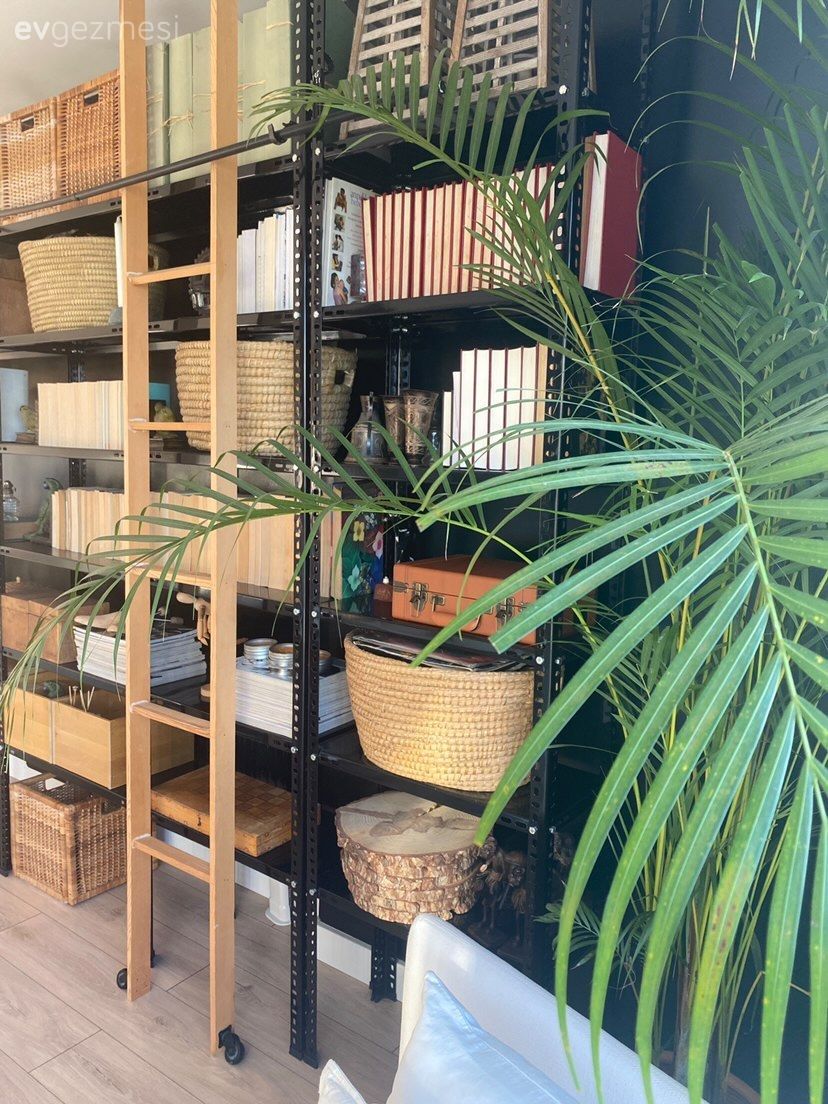 Kitaplık, Hasır sepet, Ev bitkisi