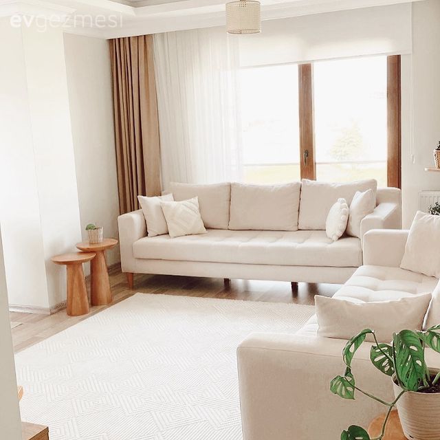 Salon, Modern, Beyaz, Krem, Kahverengi, Vizon, Koltuk takımı, Halı, Salon halısı, Fon perde, Perde, Tül perde, Yan sehpa, Sehpa, Ev bitkisi