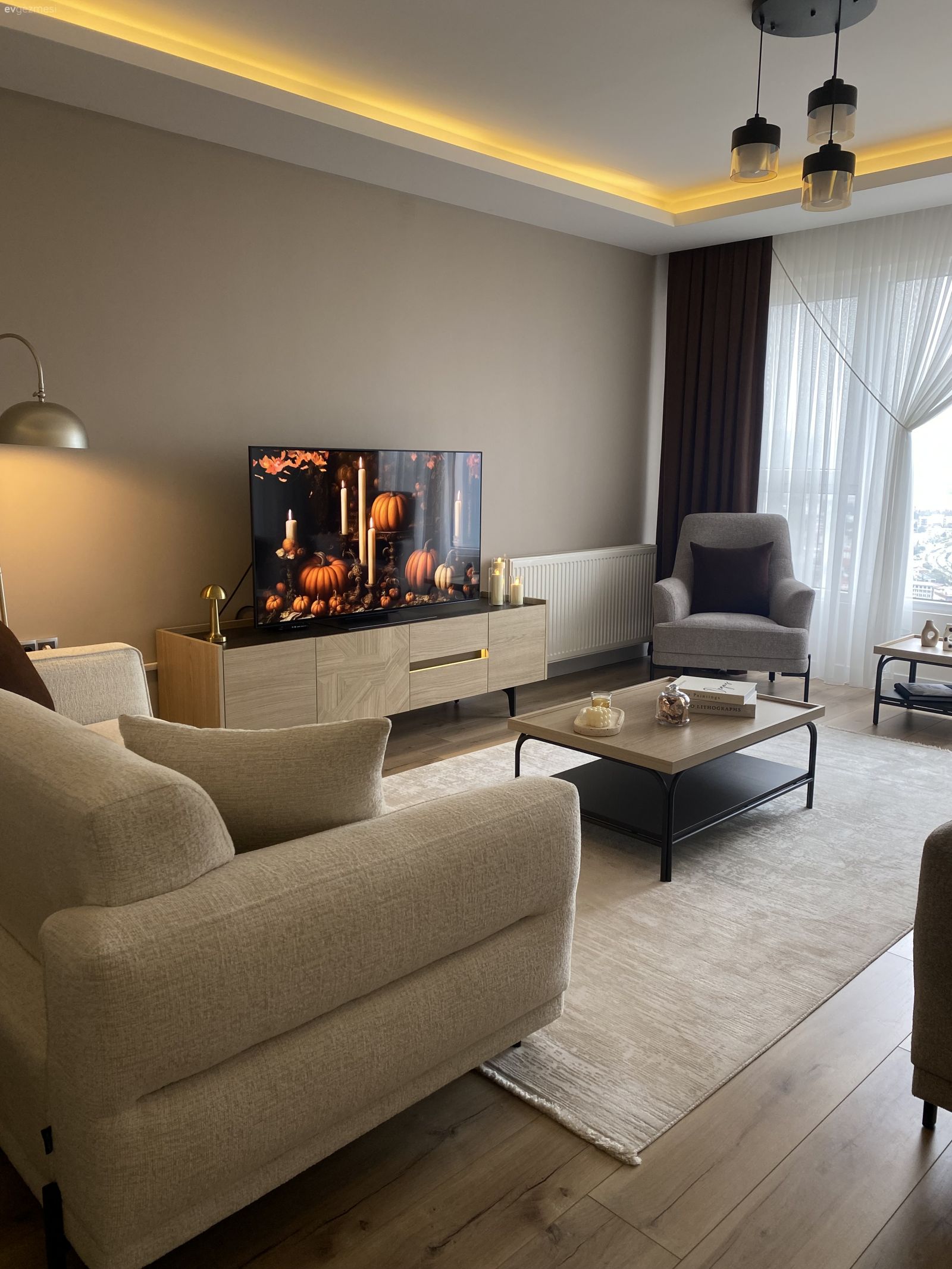 Salon, Modern, Beyaz, Gri, Tv ünitesi, Tv ünitesi aksesuarları, Ev Aksesuar, Koltuk takımı, Avize, Aydınlatma, Orta sehpa, Sehpa, Tablo, Duvar dekorasyonu, Led aydınlatma, Halı, Beyaz halı, Berjer, Fon perde, Perde, Tül perde, Lambader, Kırlent, Ev tekstili