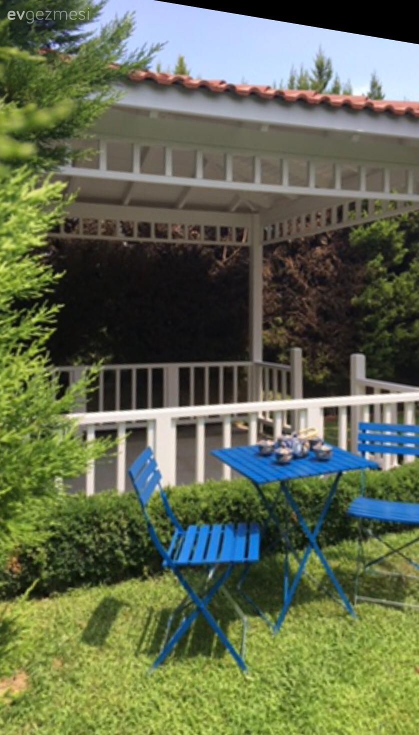 Bahçe, Bahçe masası, Sandalye, Mavi, Kamelya