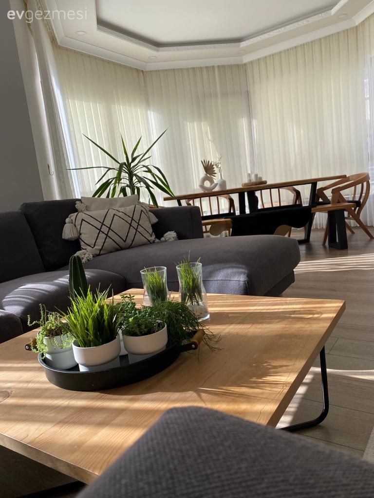 Salon, Bohem Dekorasyon, Gri koltuk, Köşe koltuk, Koltuk takımı, Orta sehpa, Sehpa, Ev bitkisi, Kırlent, Ev tekstili, Sandalye, Yemek masası, Tül perde, Perde, İskandinav