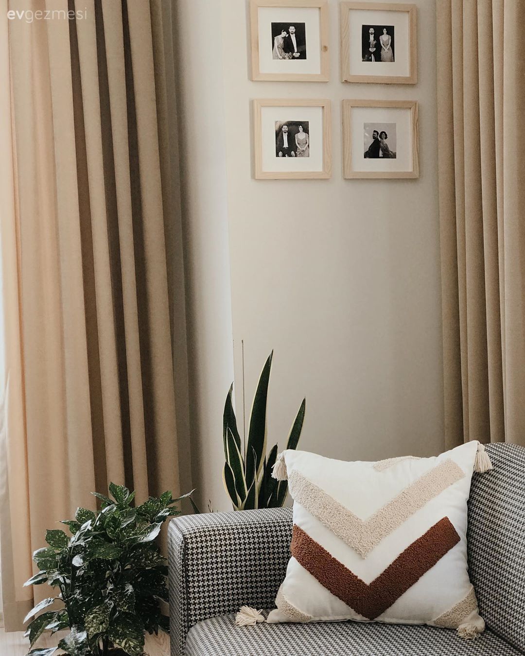 Krem, Vizon, Fon perde, Perde, Çerçeve, Ekose desen, Desenler, Ev bitkisi, Kırlent, Ev tekstili