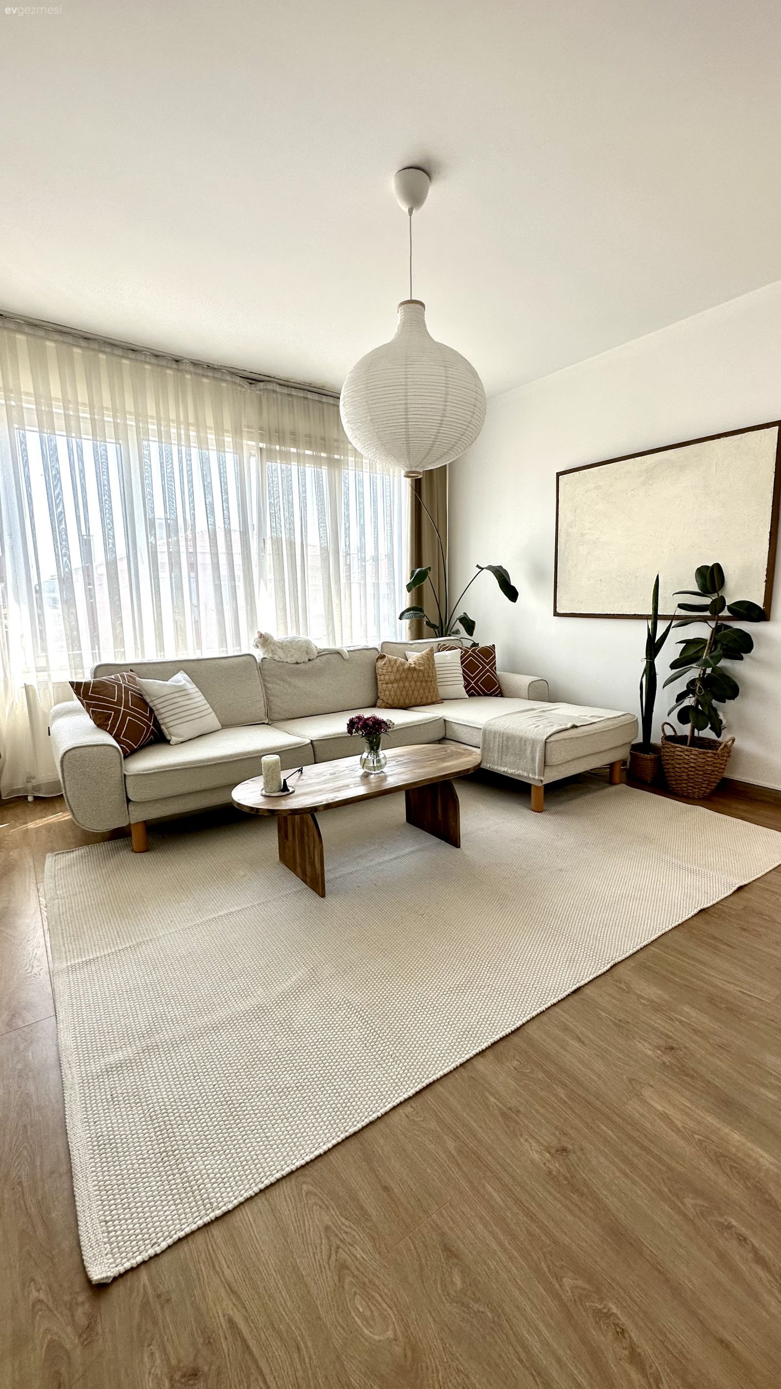 Salon, Modern, İskandinav, Beyaz, Krem, Bej, Ahşap Mobilya, Köşe koltuk, Koltuk takımı, Tül perde, Perde, Kırlent, Ev tekstili, Halı, Salon halısı, Orta sehpa, Sehpa, Tablo, Duvar dekorasyonu, Parke, Ev bitkisi, Saksı, Avize, Aydınlatma, Salon avizesi, Beyaz halı