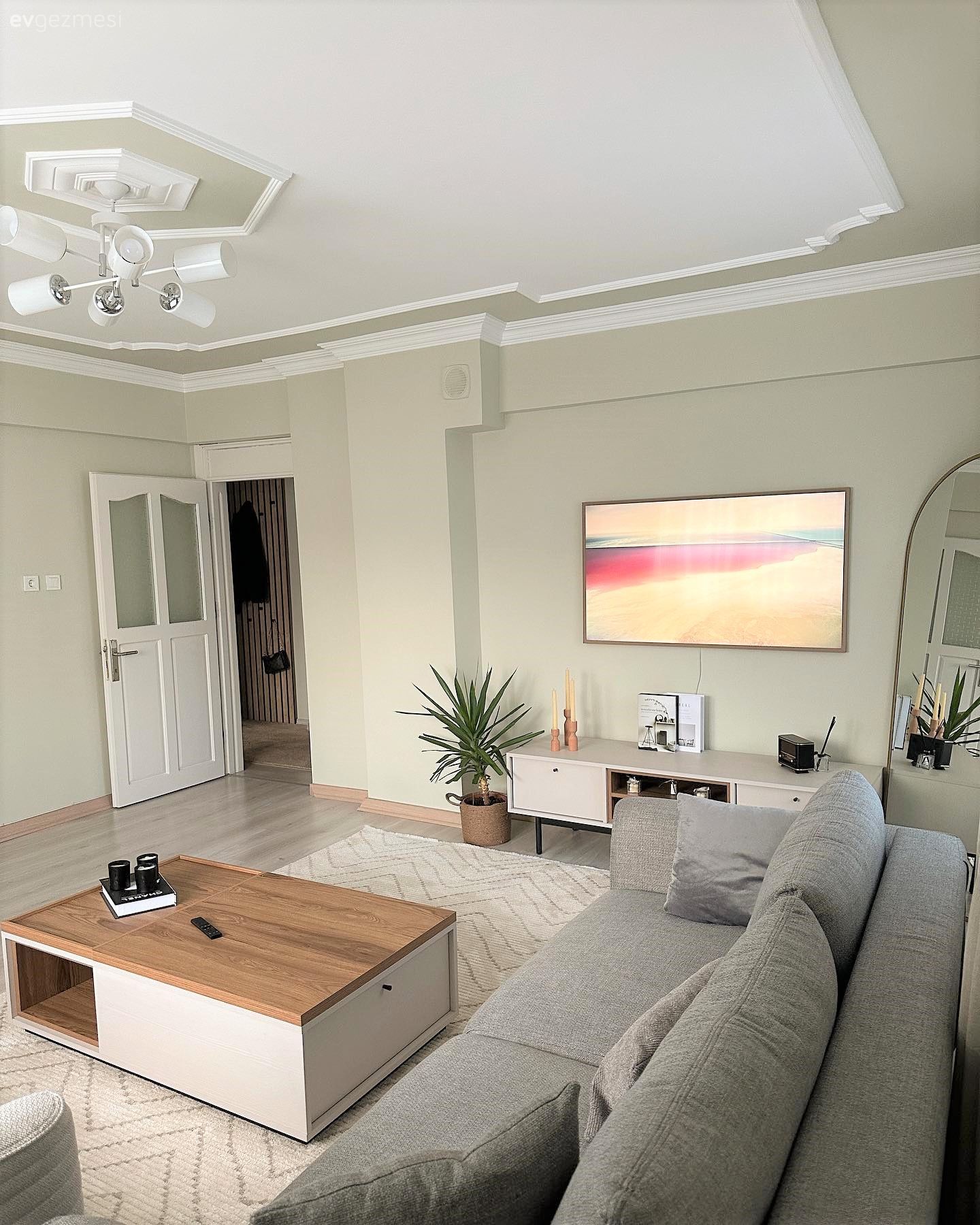 Salon, Modern, Gri, Tv ünitesi, Tv ünitesi aksesuarları, Ev Aksesuar, Saksı, Ev bitkisi, Orta sehpa, Sehpa, Halı, Salon halısı, Avize, Aydınlatma, Salon avizesi