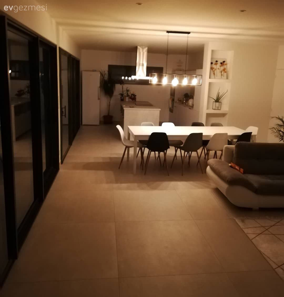 Salon, Modern, Beyaz, Gri, Siyah, Koltuk takımı, Tv ünitesi, Gri koltuk, Ev bitkisi, Dekoratif Objeler, Avize, Aydınlatma, Sandalye, Spot aydınlatma