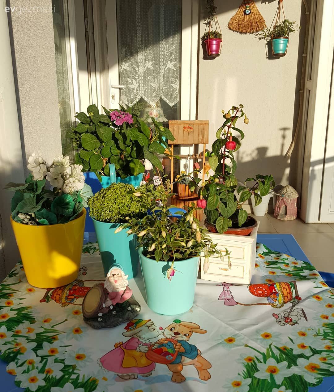 Balkon, Balkon çiçekleri, Balkon masası, Sandalye