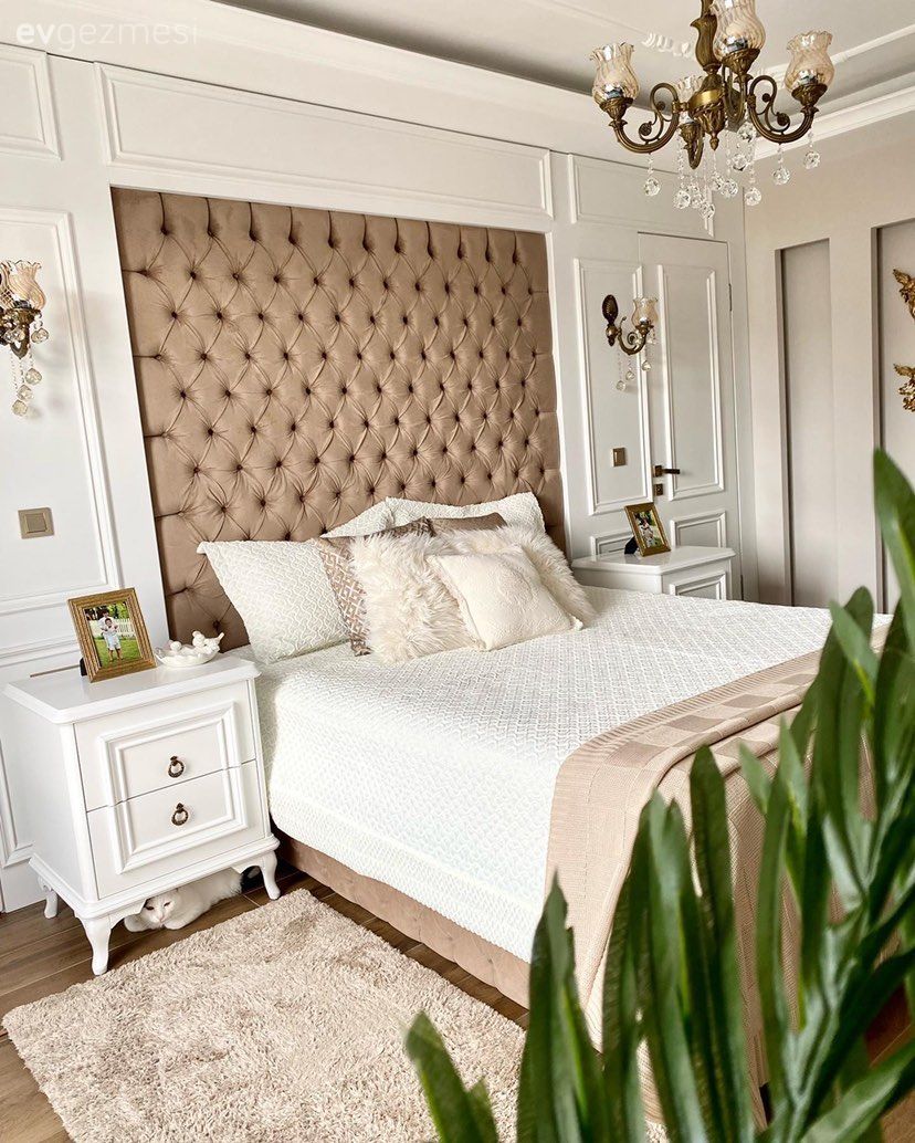 Ev Bitkileri Rehberi: Hangi Bitki Hangi Odaya Uygun?