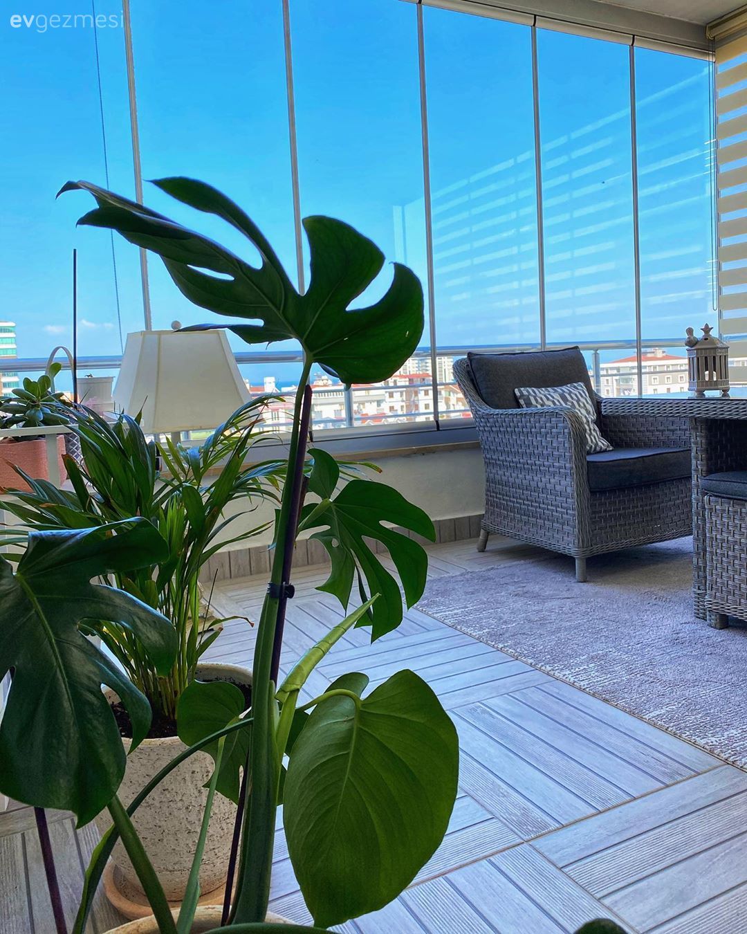 Kapalı balkon, Balkon oturma grubu, Balkon, Hasır, Ev bitkisi, Balkon zemini