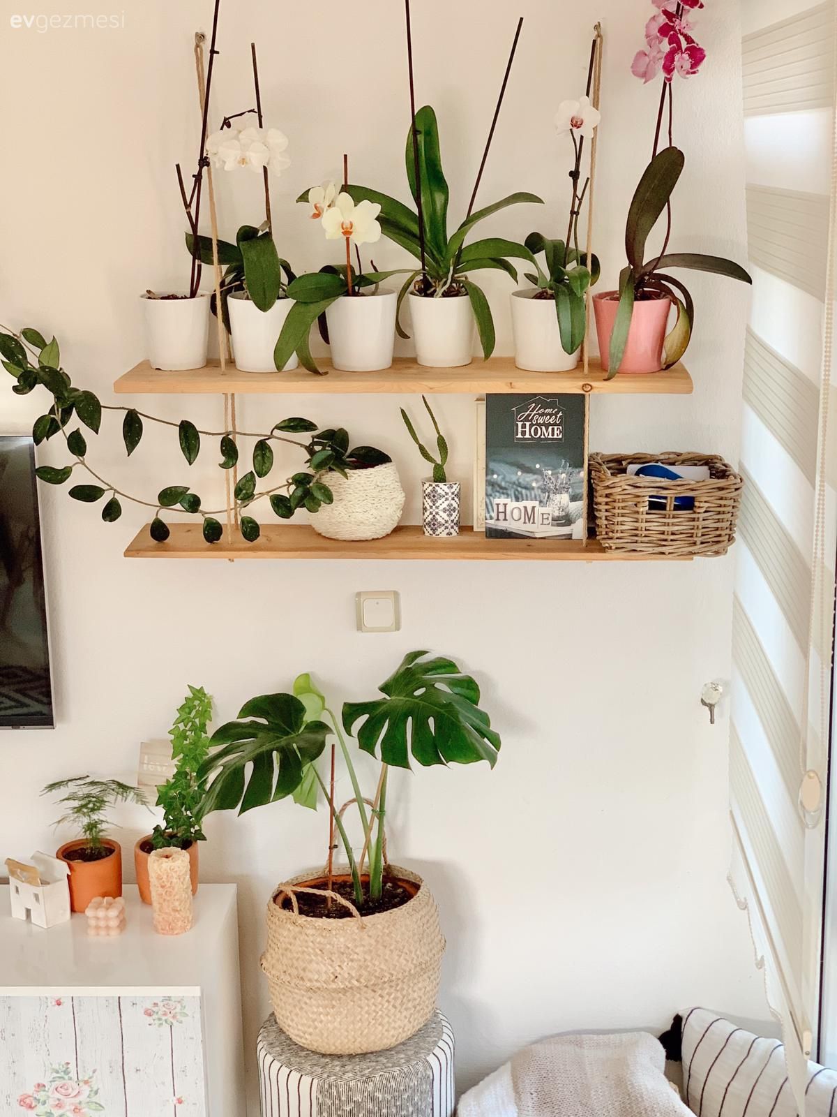 Bu Sıcak Dekorda Mekanın Sahibi Yemyeşil Bitkiler!