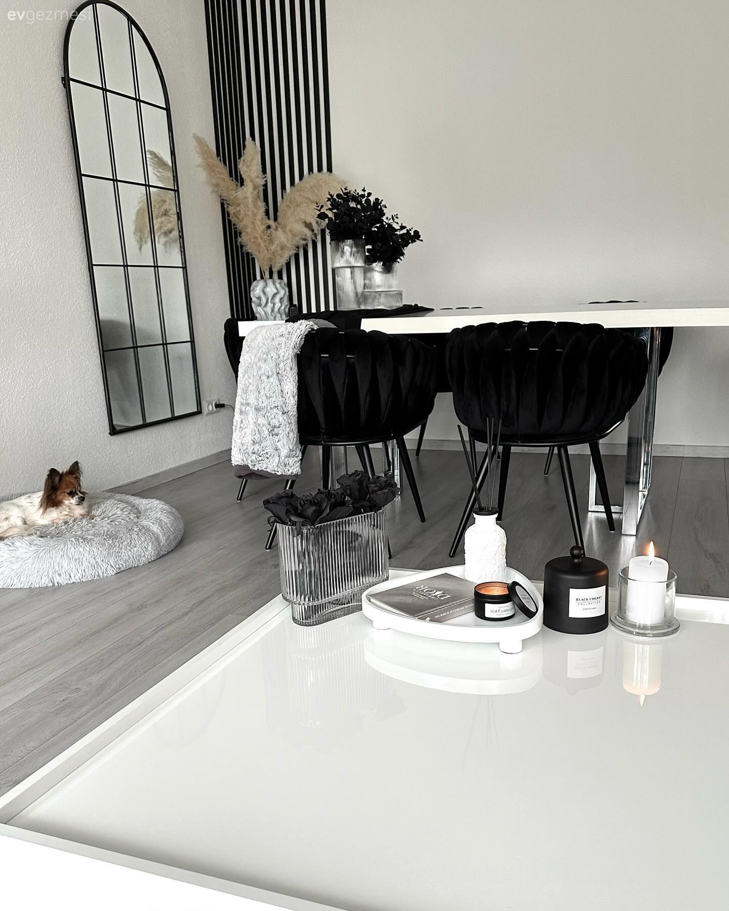 Bu Modern Evin Renkleri Gri, Siyah ve Beyaz