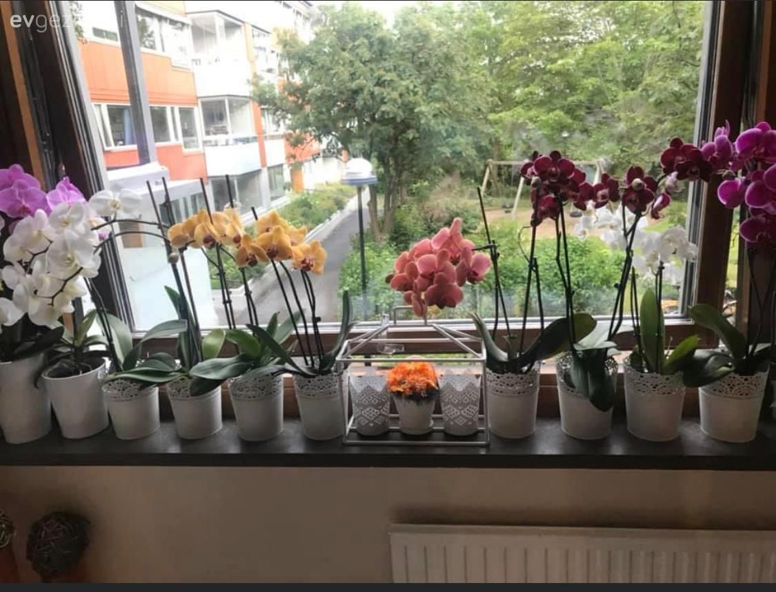 Kuzey Işıklarının Yansımasını Gören Bu Ev Her Detayıyla Çok Çekici!