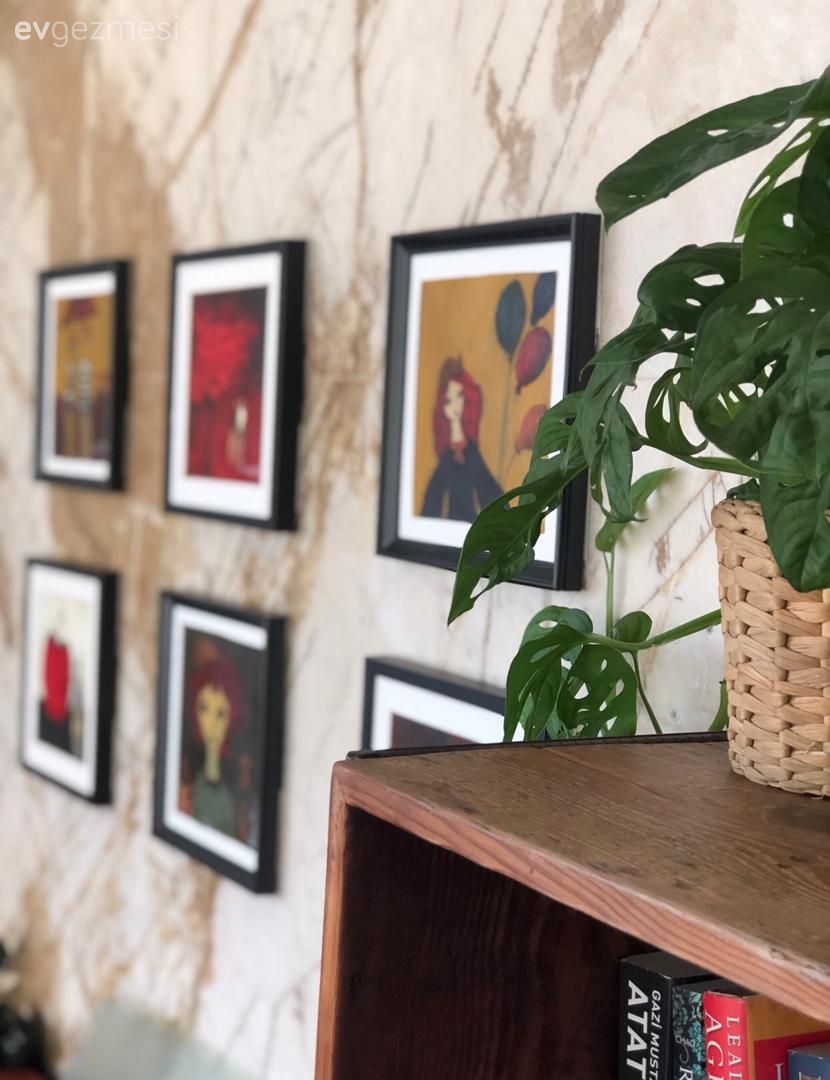 Çerçeve, Saksı, Kitaplık