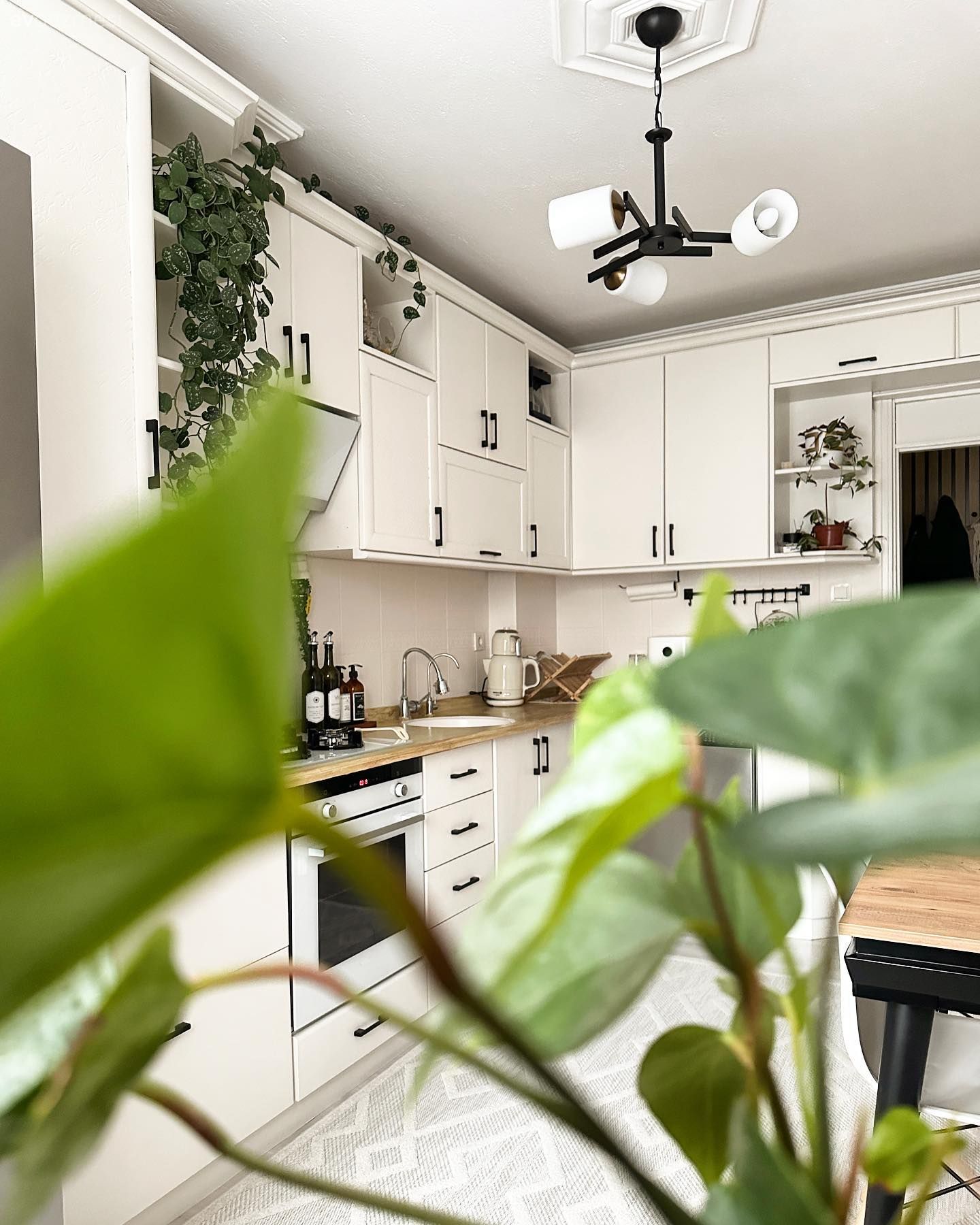 Mutfak, Beyaz, Beyaz mutfak, Ev bitkisi, Mutfak tezgahı, Mutfak tezgah arası, Tezgah arası seramik, Mutfak Avize Modelleri