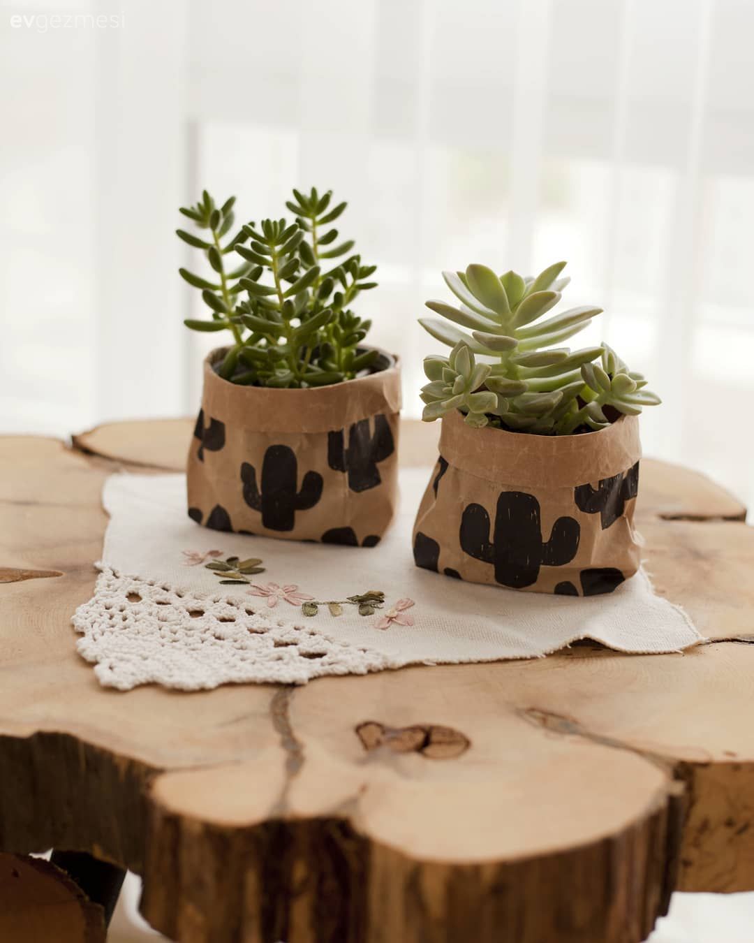 Ahşap Mobilya, Sehpa, Dekoratif Objeler, Ev bitkisi, Ev Aksesuar, Kendin Yap