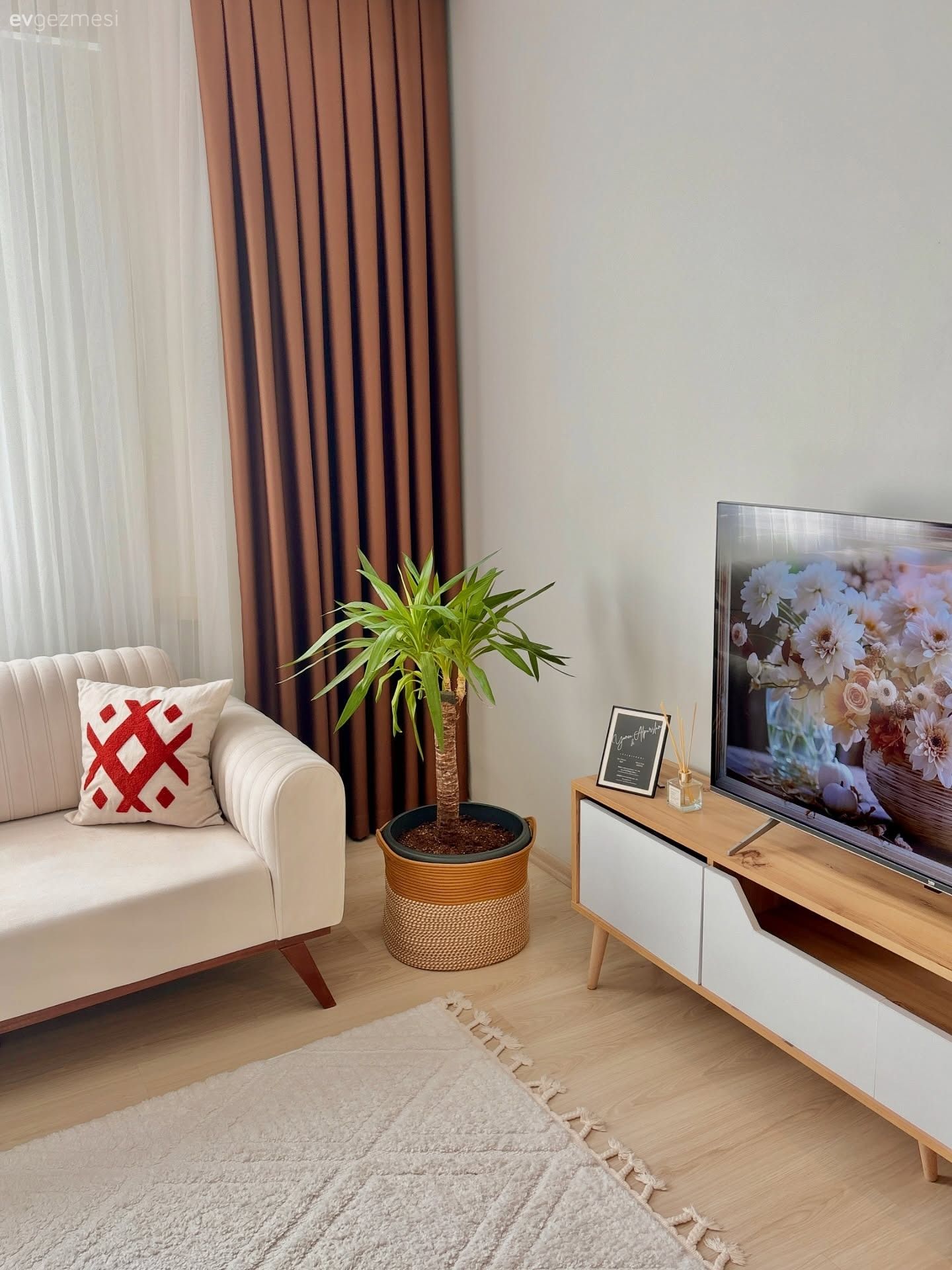 Beyaz, Ahşap Mobilya, Kahverengi, Krem, Bej, Koltuk takımı, Tv ünitesi, Tv ünitesi aksesuarları, Ev Aksesuar, Ev bitkisi, Halı, Salon halısı, Kırlent, Ev tekstili