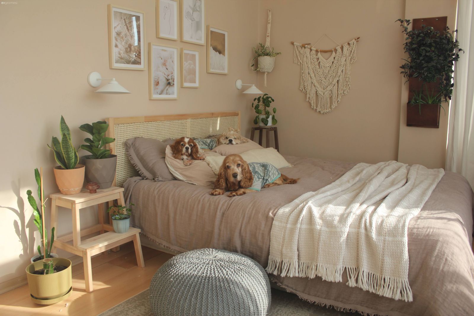 Bu İstanbul Evinin Olmazsa Olmazlar Listesinin Başını 