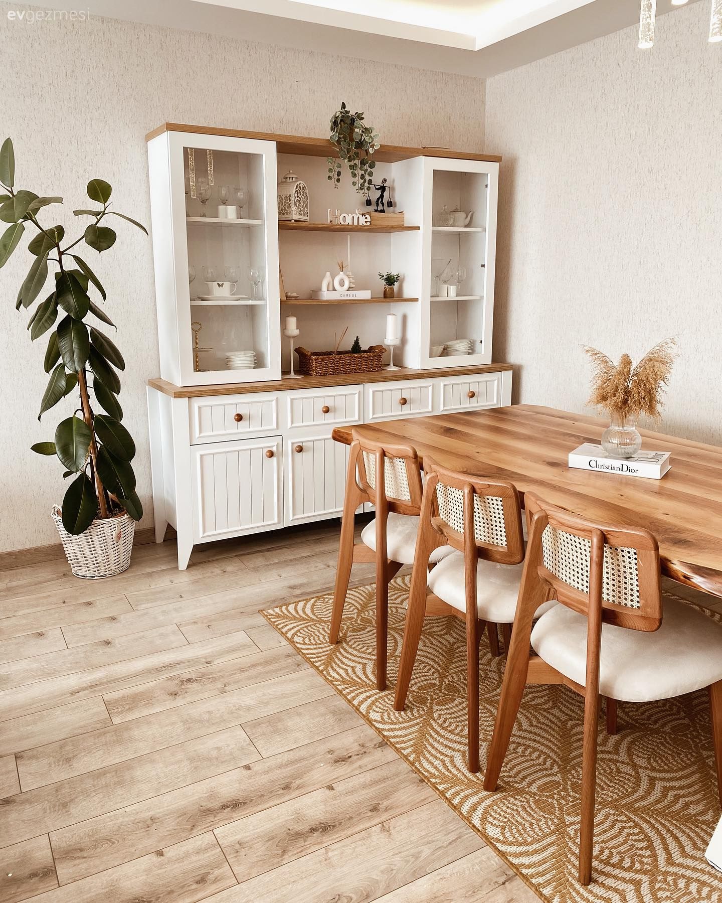 Yemek Odası, Ahşap Mobilya, Ev bitkisi, Saksı, Sandalye