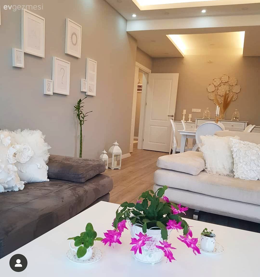 Salon, Vizon, Beyaz, Bej, Modern, Koltuk takımı, Berjer, Orta sehpa, Sehpa, Fener, Ev Aksesuar, Ev bitkisi, Kırlent, Ev tekstili, Saksı, Çiçekler, Sandalye, Yemek masası