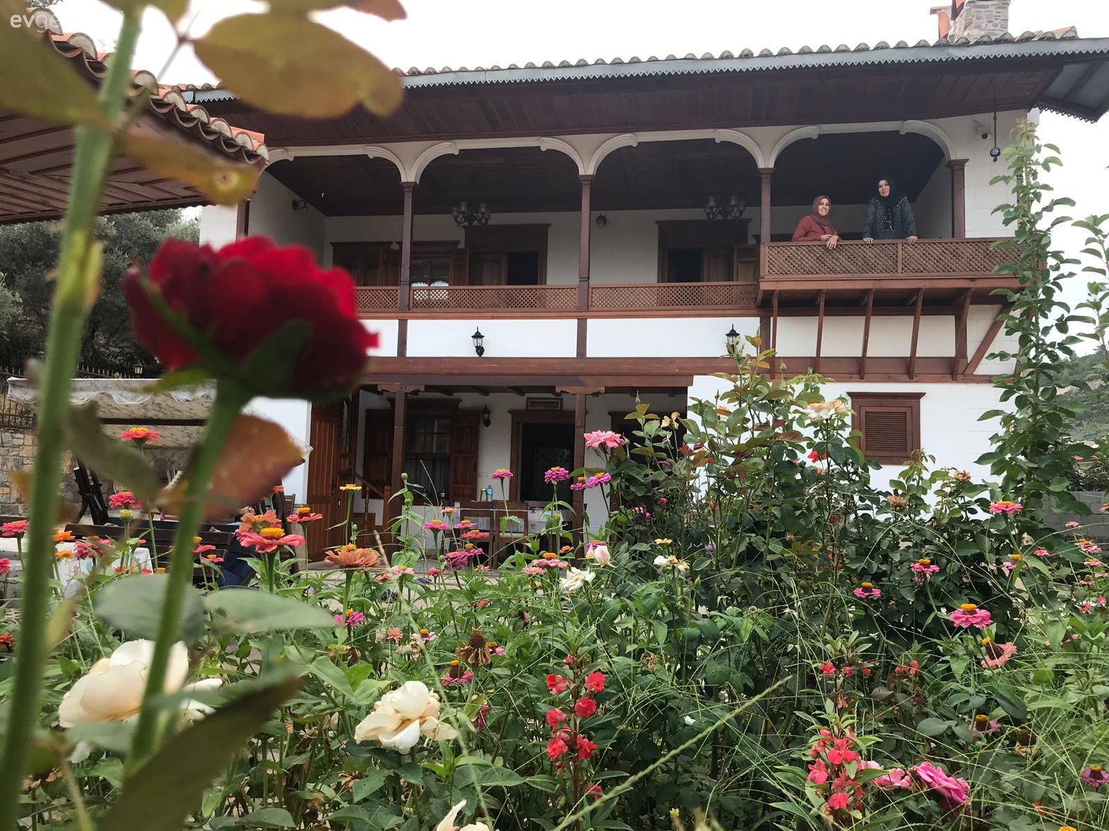 Müstakil Ev, Dış cephe, Bahçe, Çiçekler