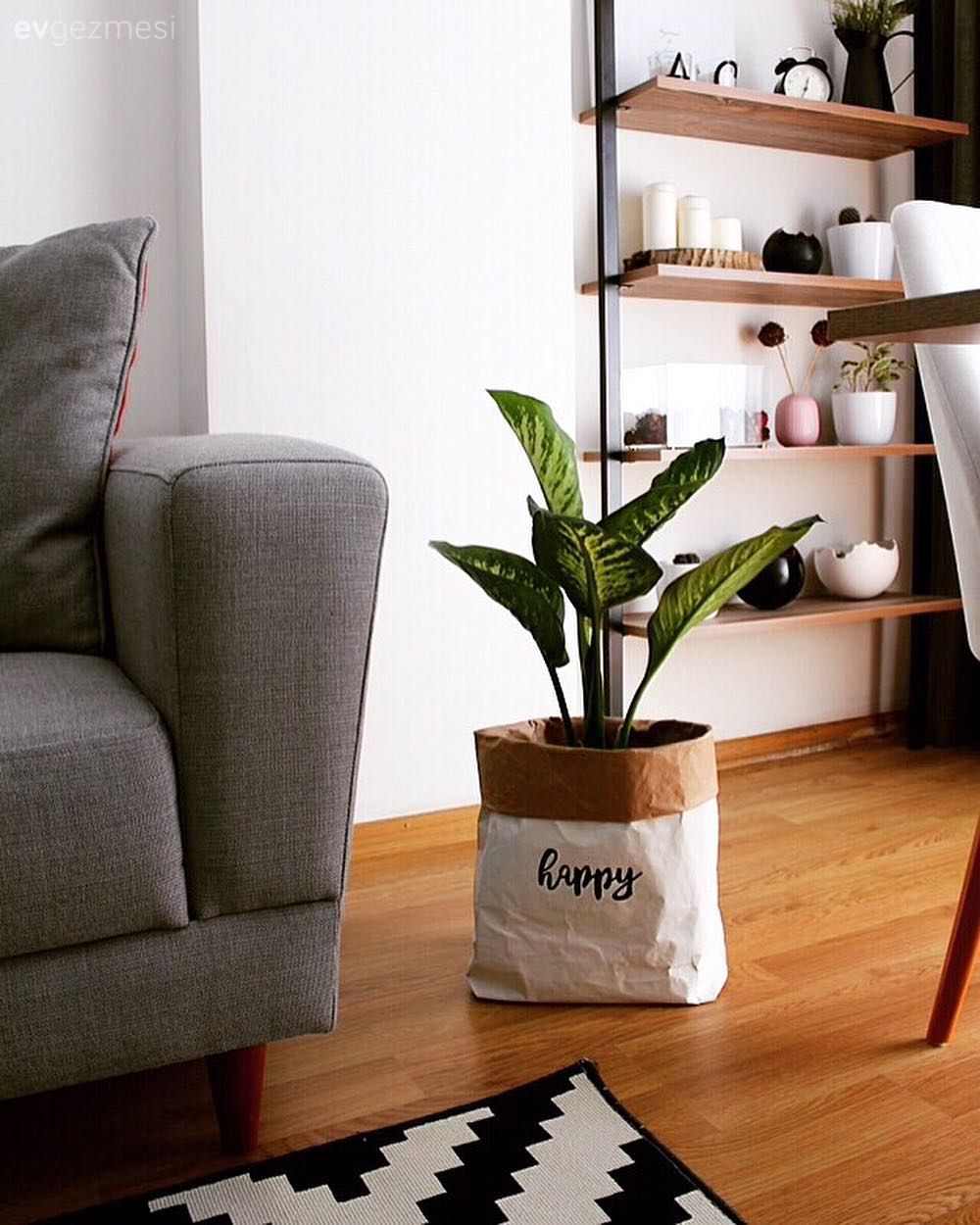 Açık raf, Duvar rafı, Ev bitkisi, Gri, Siyah- Beyaz