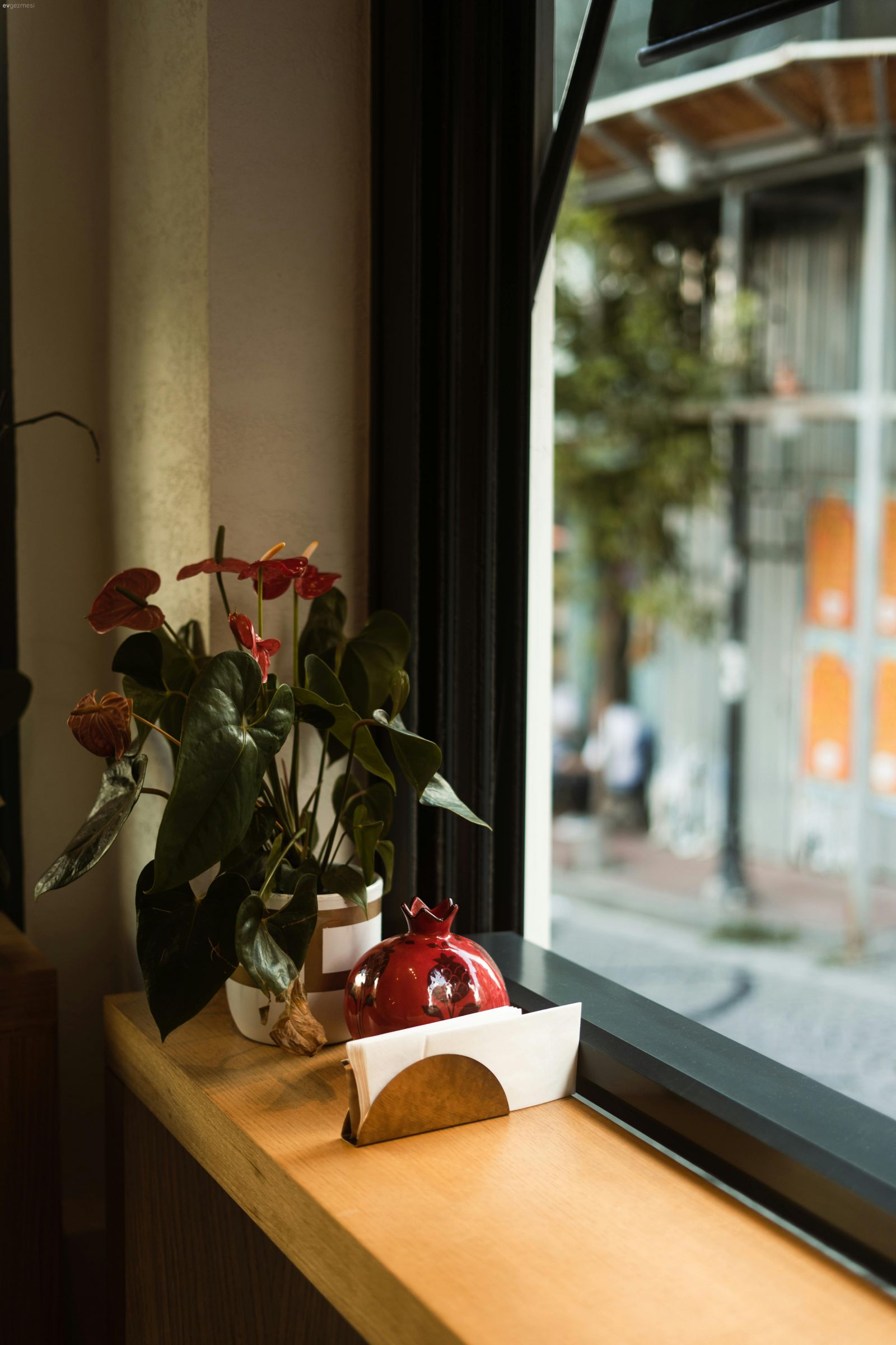 Salon Çiçekleri ile Evlerin Enerjisi Nasıl Yükseltilir?