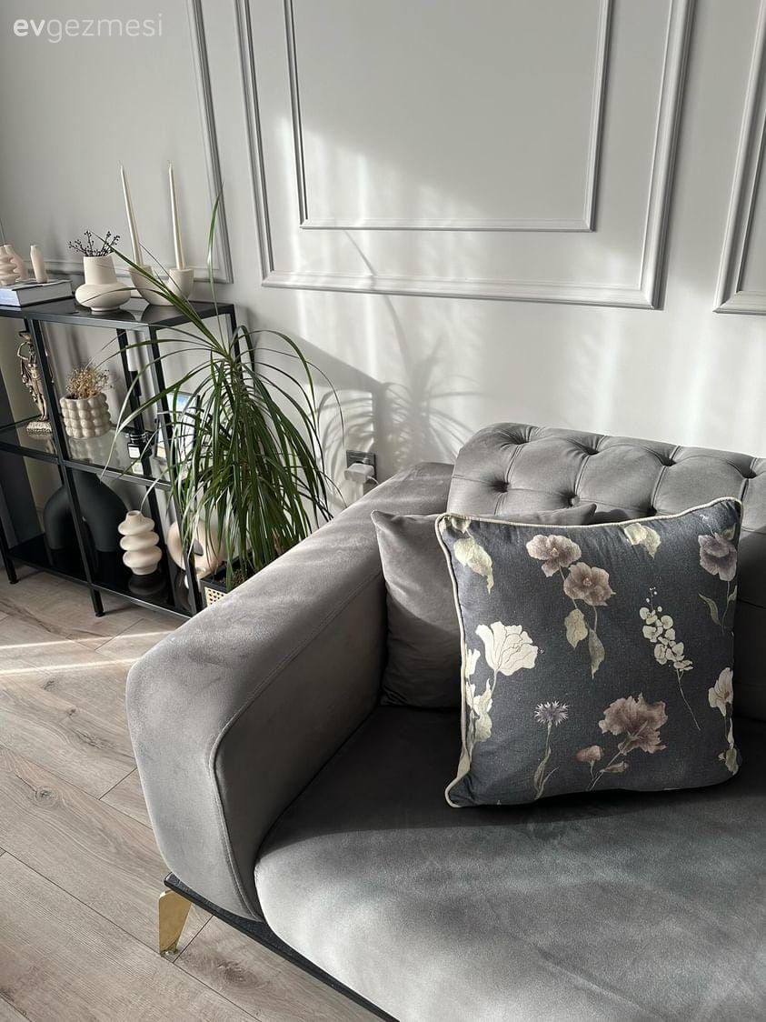 Duvar çıtalama, Gri, Siyah, Koltuk takımı, Modern chesterfield, Kırlent, Ev tekstili, Ev bitkisi, Saksı, Dekoratif Objeler