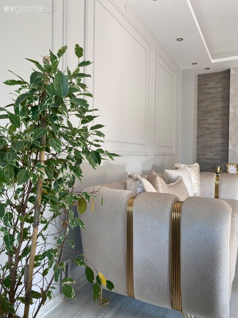 Beyaz, Koltuk takımı, Duvar çıtalama, Ev bitkisi, Kırlent, Ev tekstili