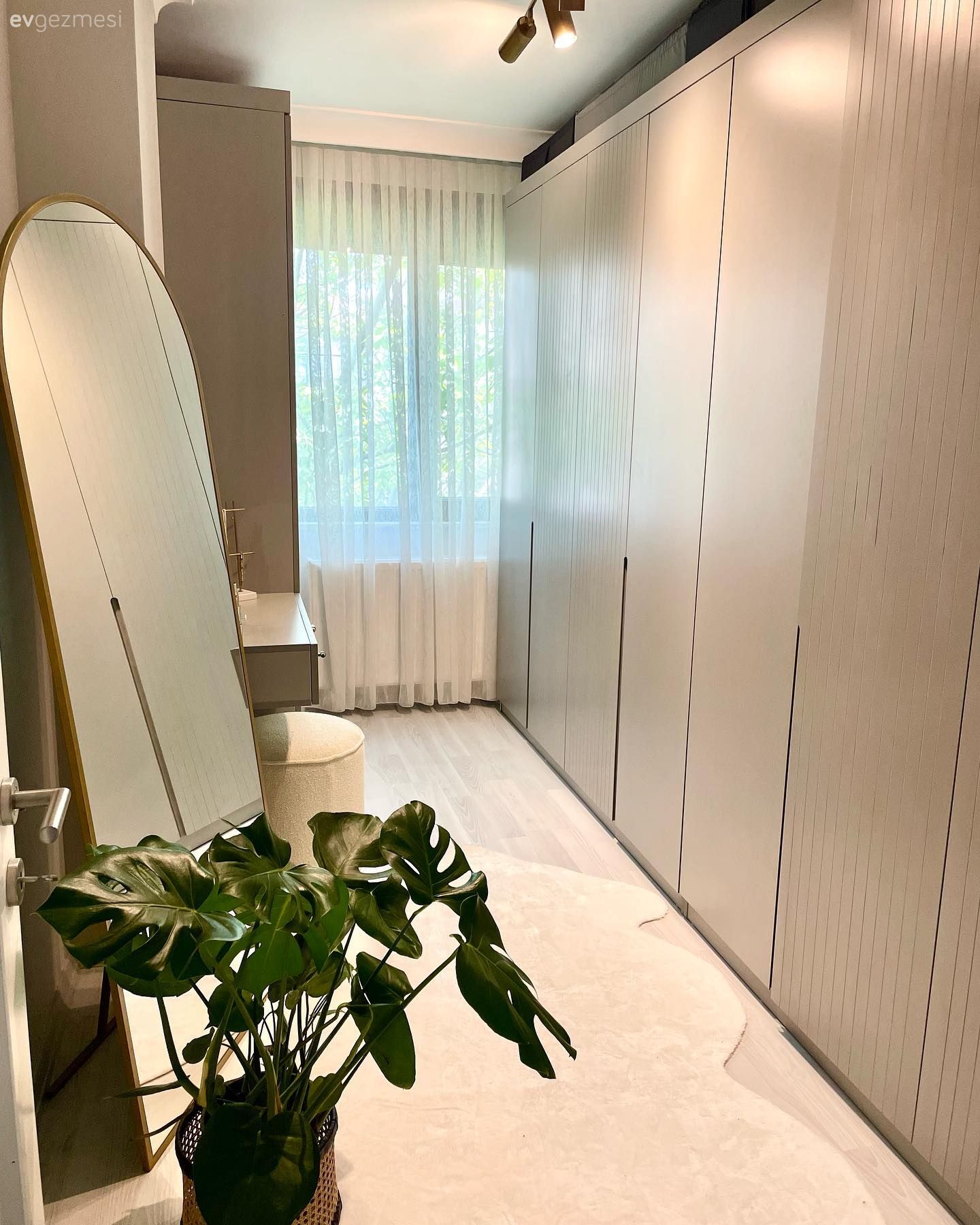 Giyinme odası, Boy aynası, Ayna, Gri, Ev bitkisi, Modern