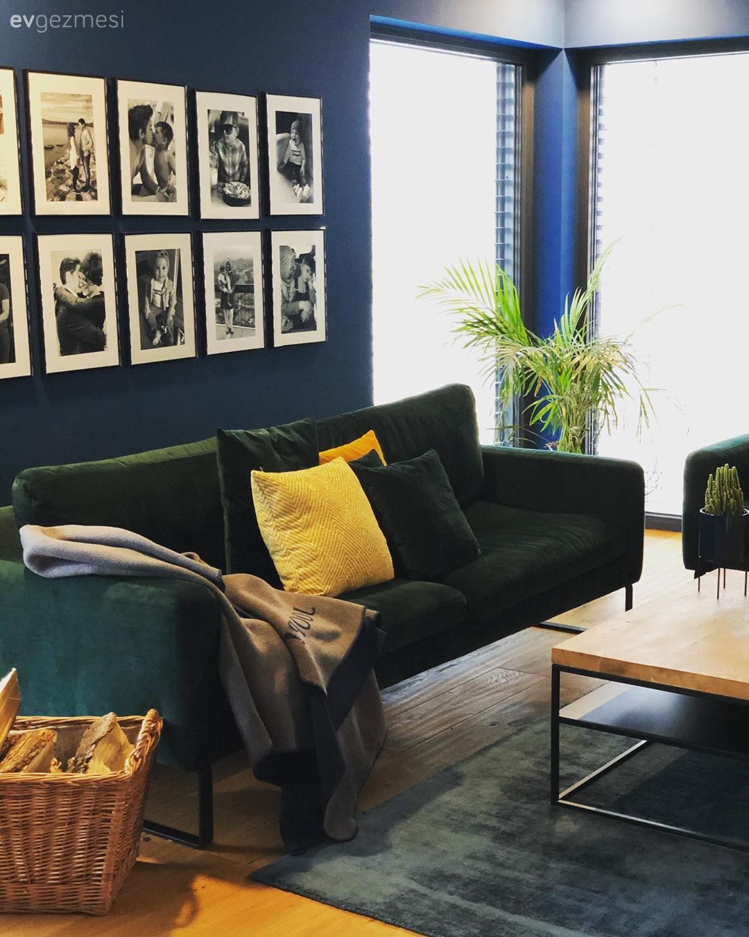 Salon, Modern rustik, Siyah, İndigo Mavisi, Sarı, Ahşap Mobilya, Mavi duvar, Koltuk takımı, Galeri duvarı, Duvar dekorasyonu, Çerçeve, Orta sehpa, Sehpa, Çiçekler, Halı, Salon halısı, Kırlent, Ev tekstili, Parke, Ev bitkisi