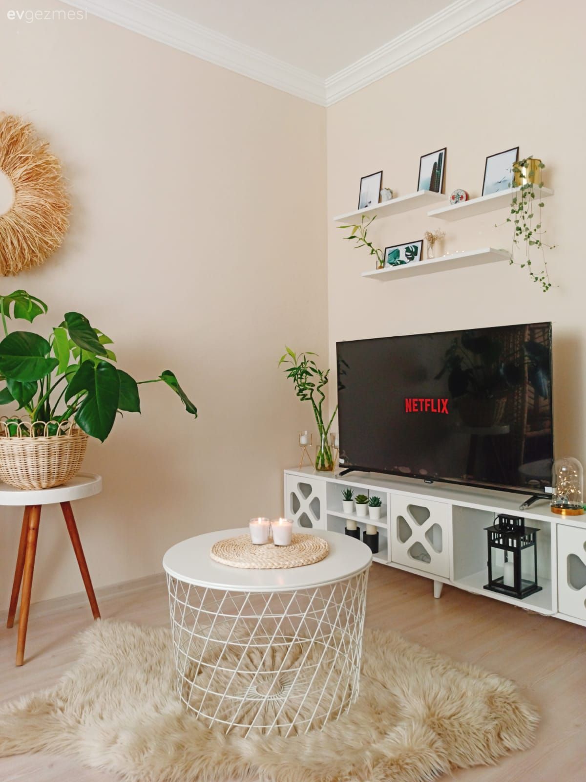 Ev bitkisi, Hasır, Halı, Beyaz, Bej, Duvar rafı, Duvar dekorasyonu, Orta sehpa, Sehpa