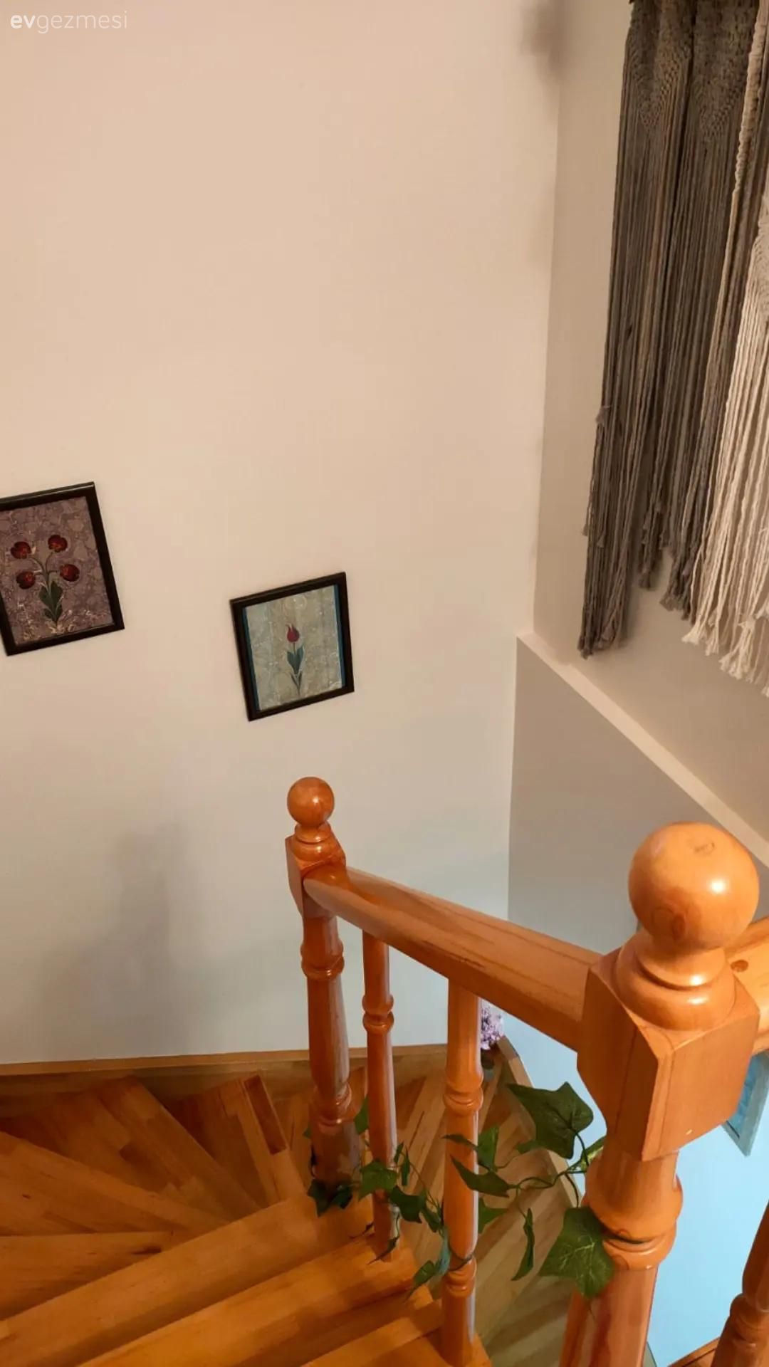 Bu Üsküdar Evi Turuncunun Enerjisinden Fazlasıyla Yararlanmış