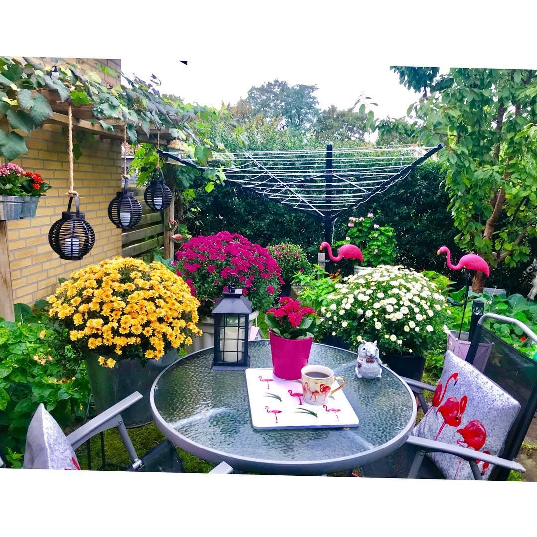 Cennetten Bir Köşe: Gülseren Hanım'ın Rengarenk Bahçesi!