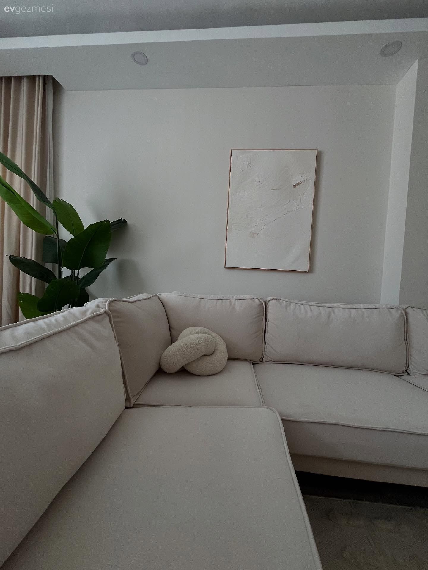Krem, Bej, Köşe koltuk, Koltuk takımı, Ev bitkisi, Tablo, Duvar dekorasyonu