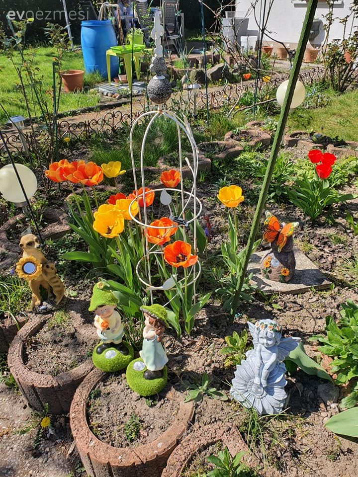 Bahçe, Peyzaj, Çiçekler