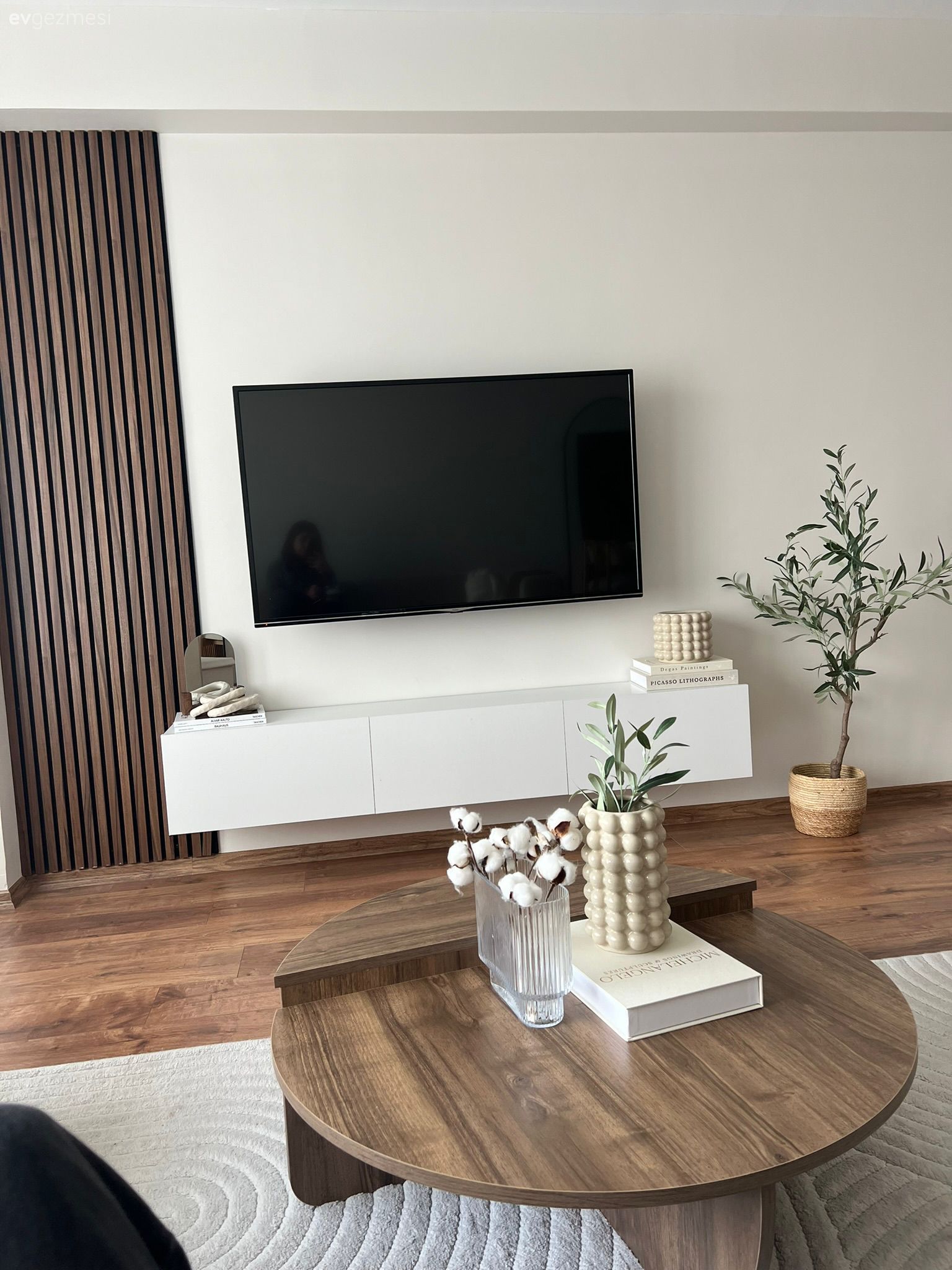 Duvar çıtalama, Beyaz, Tv ünitesi, Tv ünitesi aksesuarları, Ev Aksesuar, Orta sehpa, Sehpa, Halı, Salon halısı, Saksı, Ev bitkisi