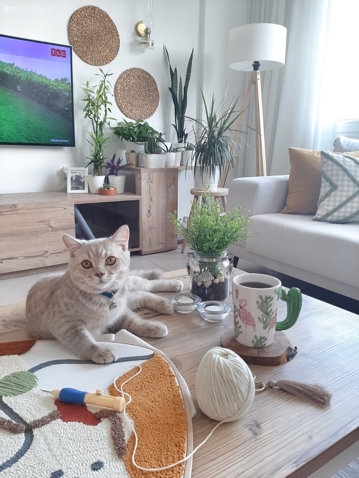 Salon, Bohem Dekorasyon, Beyaz, Bej, Turuncu, Hardal, Kırlent, Ev tekstili, Geometrik desen, Desenler, Tv ünitesi, Tv ünitesi aksesuarları, Ev Aksesuar, Ahşap Mobilya, Koltuk takımı, Orta sehpa, Sehpa