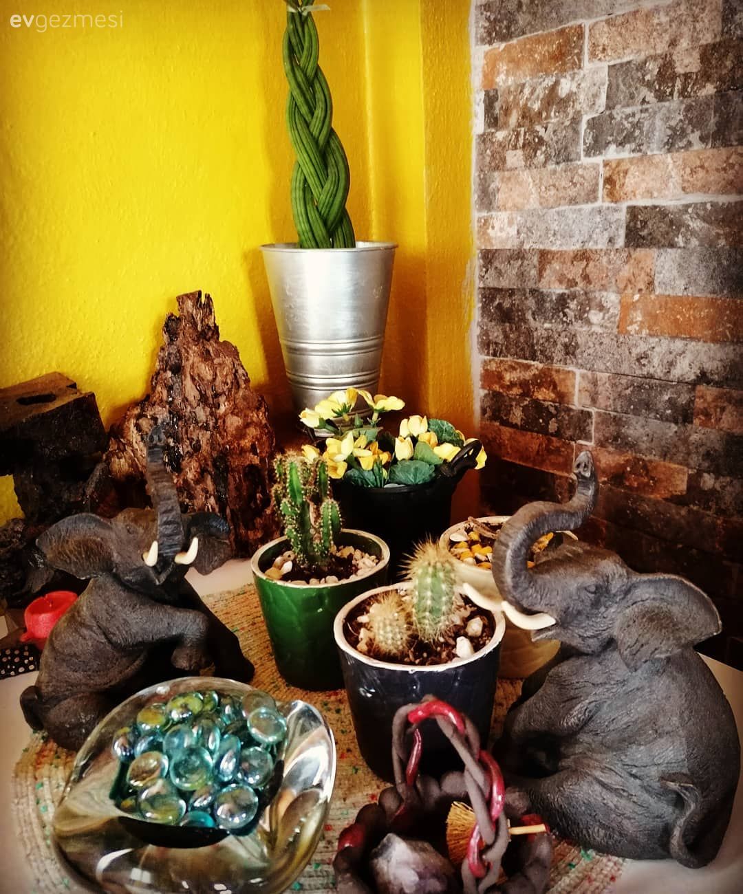 Ev bitkisi, Sarı, Taş duvar, Duvar dekorasyonu